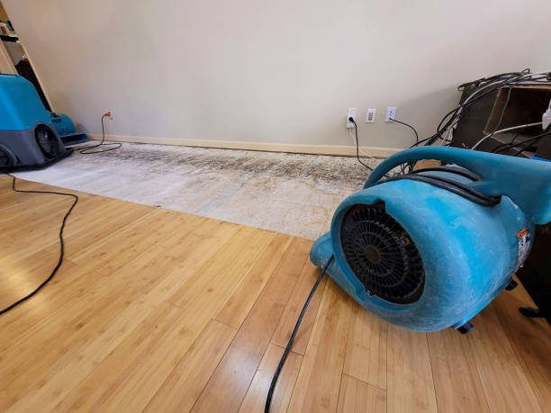 Professional Water Removal technician working in Aberdeen Proving Ground, MD